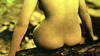 Vintage Antique Retro Drawings Detailed Classic Illustrations