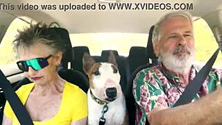 What sexual secrets spill on our east oahu car chat?