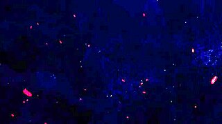 Emily White's Skinny Ass Gaped by Friends' Huge Black Cocks Anal