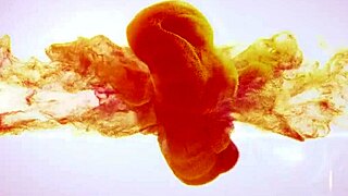 sexy ballerina teases with toys in wet solo ballet