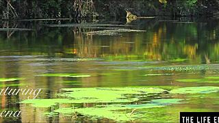 perfect country girl fingers her pussy hard right by the fire