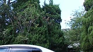 Office lady smokes while getting fucked hard