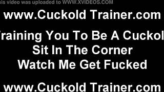 i would never fuck a loser like you, watch me take real cock instead