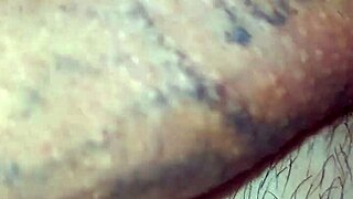 Check Out My Pierced Monster Cock Holes!