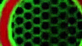 ever seen sara jay slam her glass dildo deep in jacuzzi shower heat?