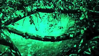 Dark Lantern Dragonfly Freddie Retro Hairy Fuck Closeup