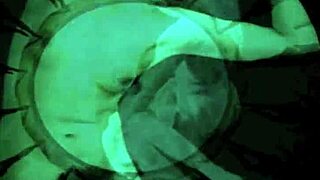 retro hairy pussy beaver in vintage erotic art