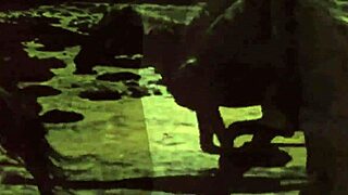 uncover the secret erotic tales in vintage silent hairy beaver films