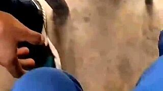 follando en auto post-fiesta casi pillados oral hotel despues