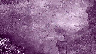 uncover the secret erotic tales in vintage silent hairy beaver films