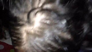 brunette bbw wife gives pov blowjob ends in facial