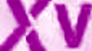 ed junior and vinny star dp dap camila cooper's tight ass creampie