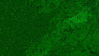 CRAZY 18yo PEES PANTIES PUBLIC BEACH