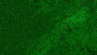 CRAZY 18yo PEES PANTIES PUBLIC BEACH