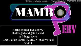 bea cherry nympho takes 3 huge cocks dap bbc atm dirty talk!