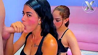 these college sluts deepthroat my monster cock for homework help orgy