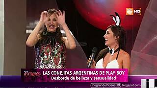 little argentinian bunnies hopping wild in peru streets