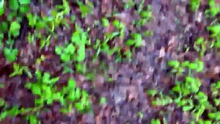 wanna see bella's latex ridingmac hug her curves outdoors?