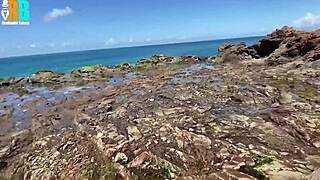 brazilian bull creampies beach wife cucks hubby call