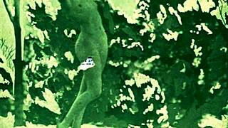 vintage erotic scenes heat up christmas night