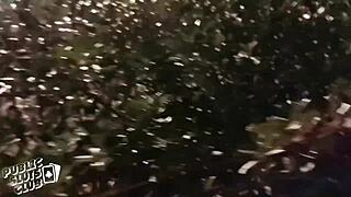 Amsterdam Club Public Whore Bushes in Hardcore Night Sex Studio