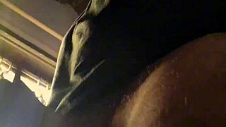lluvia de penes from exotic bad wolf28 shower slaves