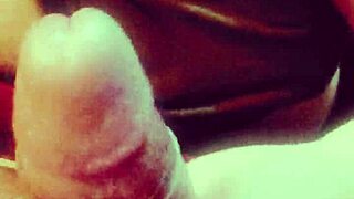 dominican bbw couple shares intimate blow moment