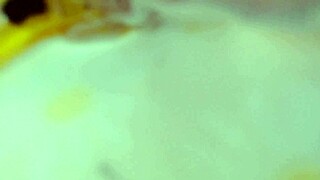 Dawnskye1962 Update 223 Giantess-IR Roleplay Crossover with Huge Ass Mar 06