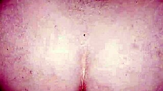 bbw begs chubby anal doggystyle