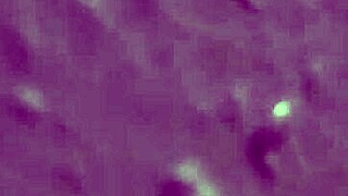 Screaming neighbor prostitute begs for intense amateur fucking