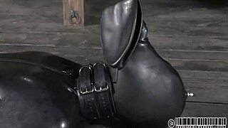 s and m serf wears collar during rough sex