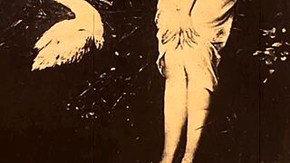 Vintage Erotic Drawings