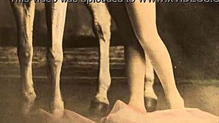 Vintage Erotic Drawings