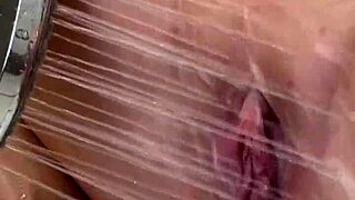 Julia north gives hot shower blowjob