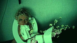 the most beautiful toilet pet in the world