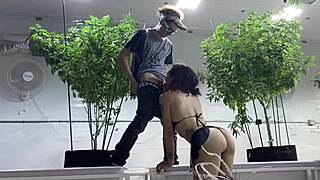 Committing sins in the garden of Eve deepthroat blowjob big booty