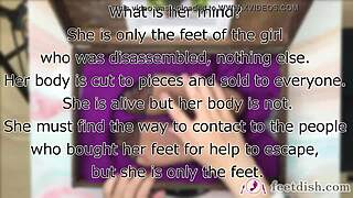 Feetdish Vol 2 Lilly Secretary Feet Box