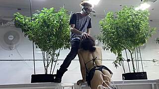 Committing sins in the garden of Eve deepthroat blowjob big booty