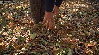 Leaves Crunching Underfoot Asmr