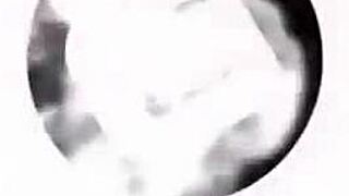Aerie Rei The Tgirl Penetrates Sabina Steele Deep In Raw Anal Bareback Play
